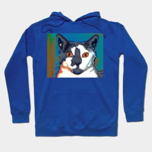 Wild Eyes Hoodie